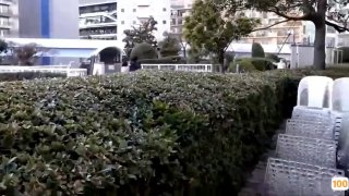 极品36E爆乳御姐【果味纯氧味】男友盘缠大战实录 漂亮豪乳后入乱颤 女上骑乘顶操内射骚到家了